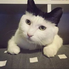 В
