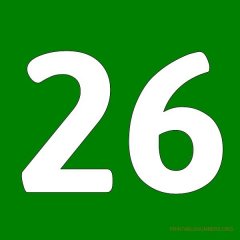 26