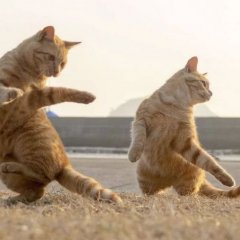 А