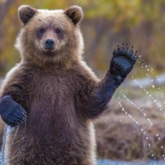 А