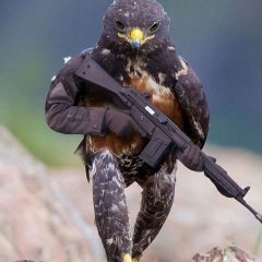ДАНЯ ТЕБЕ ПИЗДА