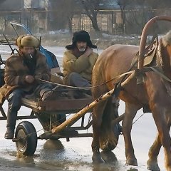 На лошади