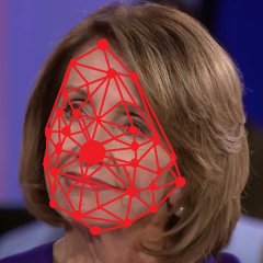 Pelosi