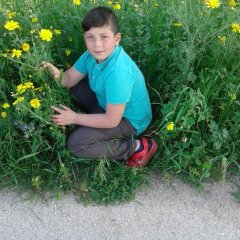 SON OF KLEONA
