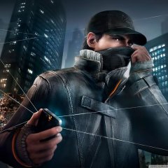 Watchdogs