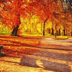 Autumn