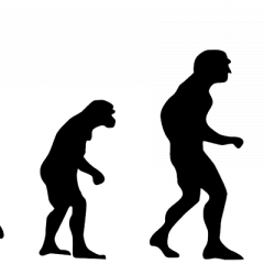 Evolution