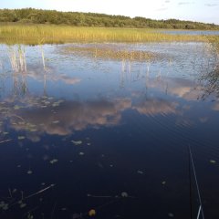 Гляжусь в тебя как в зеркало