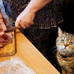 Господи пошли ей звонок на мобильный
