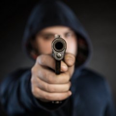 Gun