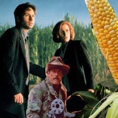 Куку кукуруза