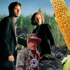 Кукукукукуруза