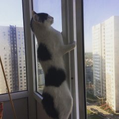 На грани