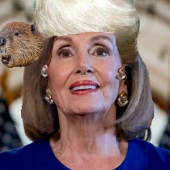 Nancy pelosi