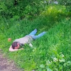 В траве сидел кузнечик