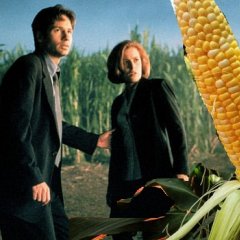 X-files