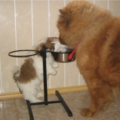 А что у тебя на обед