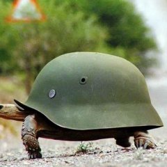 Армия