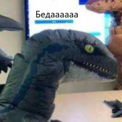 Беда