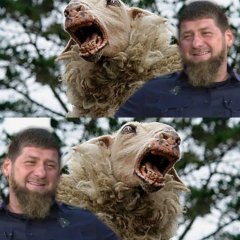 БЕДНАЯ ОВЕЧКА