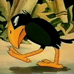 Bird Myna