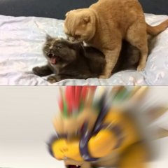 Боузер и малявка 2