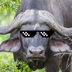 Джон