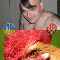 ХОХЛОГРЕБЕНЬ