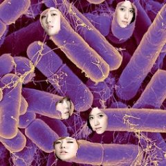 K-pop bacteriosis