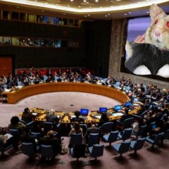 Командный центр хомяков