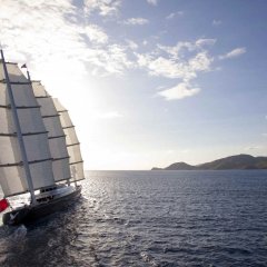 Maltese Falcon