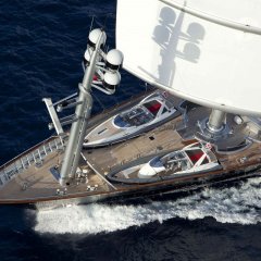 Maltese Falcon