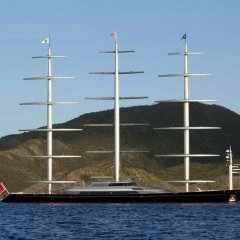 Maltese Falcon