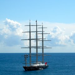 Maltese Falcon