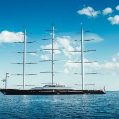 Maltese Falcon