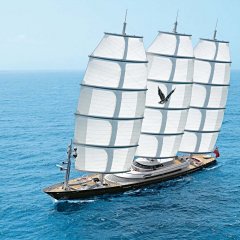 Maltese Falcon