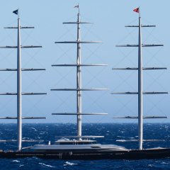 Maltese Falcon