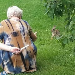 Оенонпе