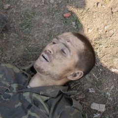 Отстрел хохлособак