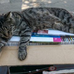 Планета после часа