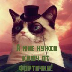 Сэр Котэ