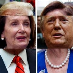 Trumpelosi
