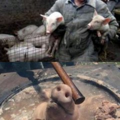 В котёл