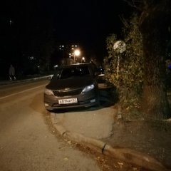 Жоповозка