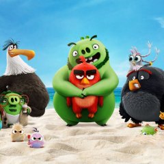 Angry birds