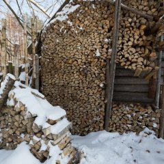 Дрова