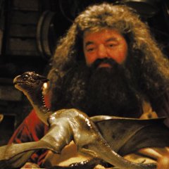 Хагрид и дракон
