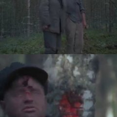 Холодное лето 53-го