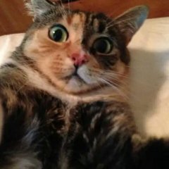 Мо