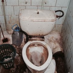 Параша